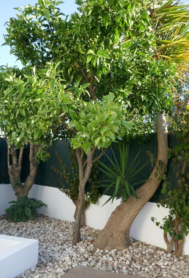Villa A Sul Albufeira Ngoại thất bức ảnh